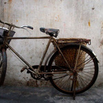 rusty bike